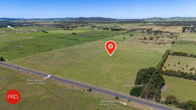 Farm For Sale - NSW - Bungendore - 2621 - Prime Grazing Property in Perfect Location  (Image 2)
