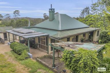 Farm Sold - NSW - Wyndham - 2550 - TIMELESS HOME ON 2.44 ACRES IN WYNDHAM  (Image 2)