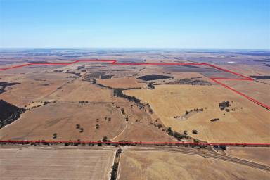 Farm Sold - WA - Kuender - 6353 - Yours to Own for the 2024 Season and Beyond!  (Image 2)