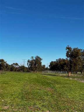 Farm For Sale - WA - Gingin - 6503 - Rare Earth in a Prime Location  (Image 2)