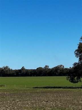 Farm For Sale - WA - Gingin - 6503 - Rare Earth in a Prime Location  (Image 2)