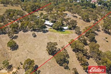 Farm For Sale - SA - Birdwood - 5234 - NATURAL SETTING. TWO DWELLINGS, 27.8 ACRES PRIVACY, SECLUSION AND VIEWS.  (Image 2)