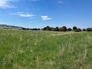 Farm For Sale - NSW - Jerangle - 2630 - Whinstone Valley  (Image 2)