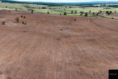 Farm For Sale - NSW - Baan Baa - 2390 - PRODUCTIVE MIXED ARABLE PROPERTY IN THE BOGGABRI/BAAN BAA DISTRICT  (Image 2)