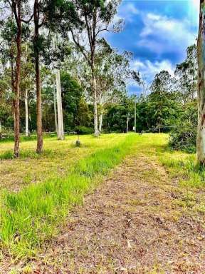 Farm Sold - QLD - Traveston - 4570 - Tranquil 4.077 Acres of Usable Land  (Image 2)