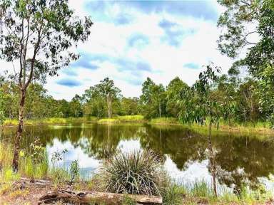 Farm Sold - QLD - Traveston - 4570 - Tranquil 4.077 Acres of Usable Land  (Image 2)