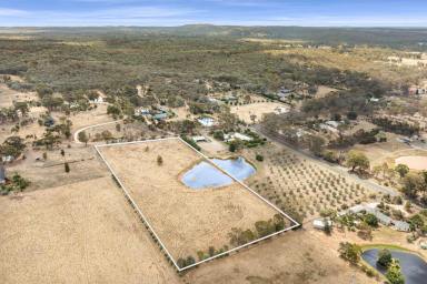 Farm For Sale - VIC - Strathfieldsaye - 3551 - A Rural Paradise with Endless Potential  (Image 2)