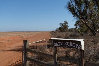Farm For Sale - WA - Binnu - 6532 - For Lease By Tender  (Image 2)