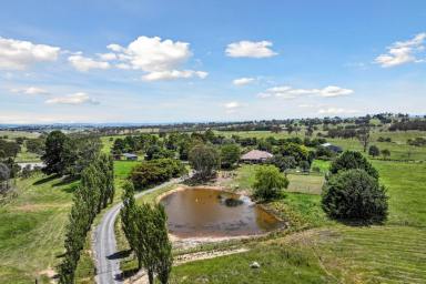 Farm For Sale - NSW - Gunning - 2581 - "Allendale" Country living at its best!  (Image 2)