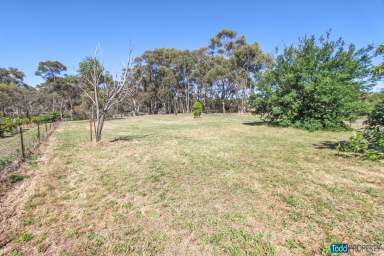 Farm For Sale - VIC - Heathcote - 3523 - DUAL TITLE BUILDING ALLOTMENTS (STCA)  (Image 2)