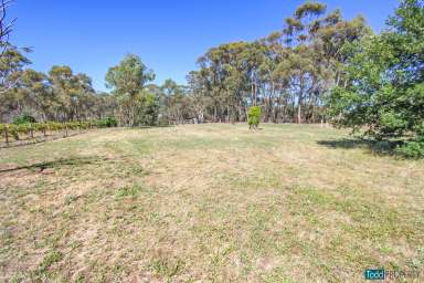 Farm For Sale - VIC - Heathcote - 3523 - DUAL TITLE BUILDING ALLOTMENTS (STCA)  (Image 2)