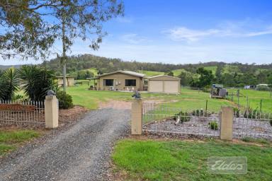 Farm For Sale - QLD - Curra - 4570 - Drought Proof and Suitable For Horses  (Image 2)