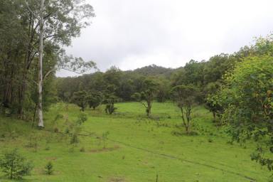Farm For Sale - NSW - Putty - 2330 - Discover the Beauty of This Rural Sanctuary!  (Image 2)