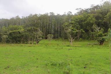 Farm For Sale - NSW - Putty - 2330 - Discover the Beauty of This Rural Sanctuary!  (Image 2)