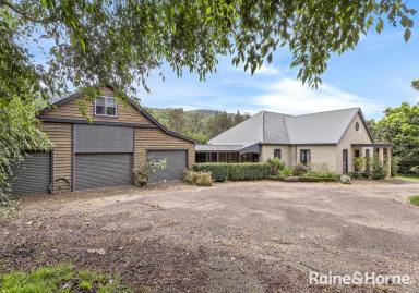 Farm Sold - NSW - Berry - 2535 - AUCTION: 24TH FEBRUARY 2024 - MUST BE SOLD!  (Image 2)