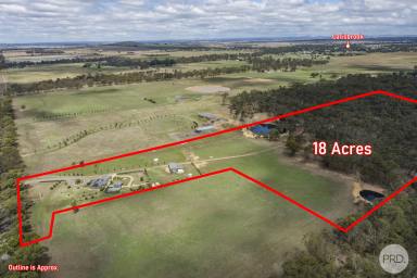 Farm For Sale - VIC - Carisbrook - 3464 - The Total Lifestyle Package  (Image 2)