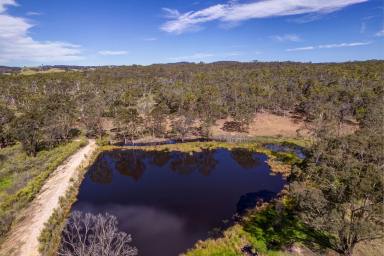 Farm Sold - NSW - Carrick - 2580 - The Ultimate Weekender  (Image 2)