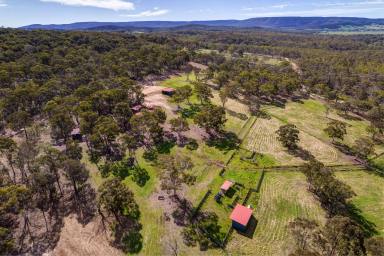 Farm Sold - NSW - Carrick - 2580 - The Ultimate Weekender  (Image 2)