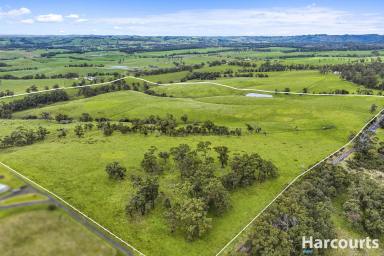 Farm For Sale - VIC - Nyora - 3987 - 131 Acres - Endless Opportunities  (Image 2)