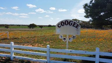 Farm Sold - NSW - Balranald - 2715 - "COOGEE STATION"  (Image 2)