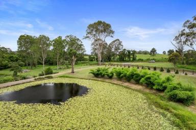 Farm Sold - QLD - Victory Heights - 4570 - VICTORY HEIGHTS OASIS  (Image 2)