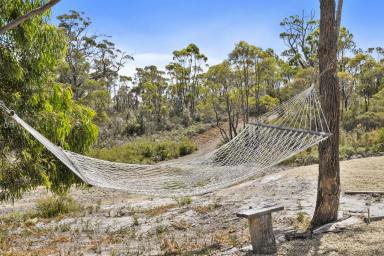 Farm For Sale - TAS - Saltwater River - 7186 - "Nature-Lovers' Haven! Affordable private getaway for Budget-Conscious Buyers with Conservation Values"  (Image 2)
