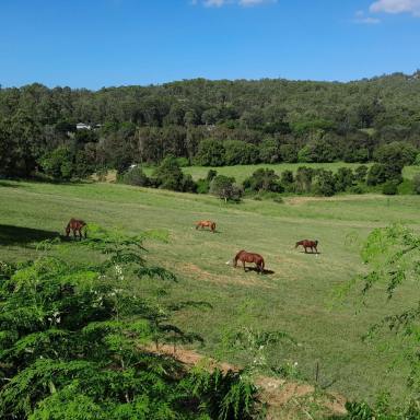 Farm For Sale - QLD - Advancetown - 4211 - Gold Coast 20 acres with 220m Riverfront and 6 brm Farmstay Home  (Image 2)
