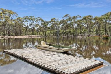 Farm For Sale - VIC - Toolern Vale - 3337 - IMMERSE YOURSELF IN NATURE, THIS IS MORE THAN A NEW HOME, IT'S YOUR WAY OF LIFE.   WOODLANDS, TOOLERN VALE - MORE STARS THAN YOU CAN EVER COUNT.  (Image 2)