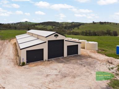 Farm For Sale - NSW - Meadow Flat - 2795 - "Pipers" 110* Productive Grazing Acres Meadow Flat  (Image 2)