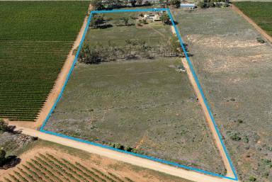 Farm For Sale - SA - Barmera - 5345 - Rural Living with Endless Possibilities  (Image 2)