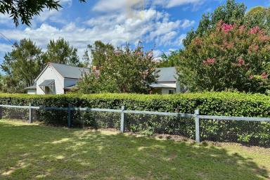 Farm For Sale - NSW - Binnaway - 2395 - IMPROVED PASTURE GRAZING CLOSE TO TOWN  (Image 2)