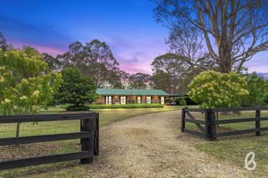 Farm Sold - NSW - Singleton - 2330 - ELEVATED VIEWS | RURAL PRIVACY & SECLUSION  (Image 2)