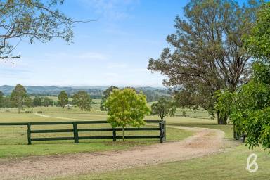 Farm Sold - NSW - Singleton - 2330 - ELEVATED VIEWS | RURAL PRIVACY & SECLUSION  (Image 2)