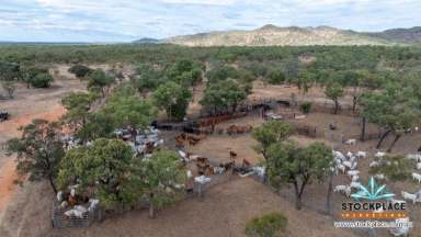 Farm Auction - QLD - Mount Surprise - 4871 - “Burlington”  (Image 2)