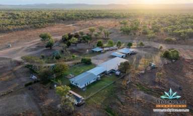 Farm Auction - QLD - Mount Surprise - 4871 - “Burlington”  (Image 2)