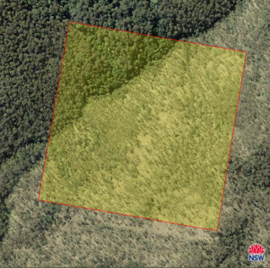 Farm For Sale - NSW - Kingsgate - 2370 - What a great Camping block!!!  (Image 2)