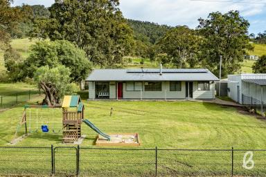 Farm Sold - NSW - Glendon Brook - 2330 - ESTABLISHED RURAL LIFESTYLE | BEAUTIFUL SETTING  (Image 2)
