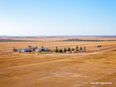 Farm Sold - WA - Hopetoun - 6348 - An outstanding opportunity awaits on the reliable South Coast  (Image 2)