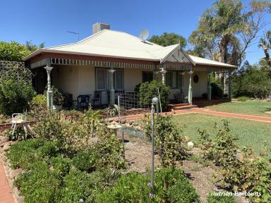 Farm Auction - WA - Mukinbudin - 6479 - 'Conservatively farmed, quality country, 14 locations'  (Image 2)