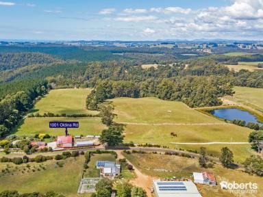 Farm For Sale - TAS - Oldina - 7325 - Airbnb Potential on a Regenerative Farm in Wynyard, Tasmania on 158 Acres approx.  (Image 2)