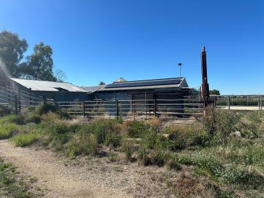 Farm For Sale - VIC - Cohuna - 3568 - Ideal Heifer or Fodder Block Close to Town  (Image 2)