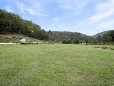 Farm For Sale - NSW - Laguna - 2325 - 120 Acres of Rural Bliss!  (Image 2)