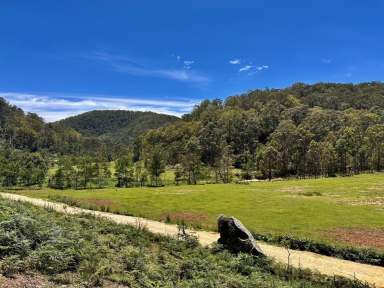 Farm For Sale - NSW - Laguna - 2325 - 120 Acres of Rural Bliss!  (Image 2)