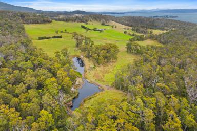 Farm For Sale - TAS - Alonnah - 7150 -  Beauty and Serenity ,102 Acres on Two Titles  (Image 2)