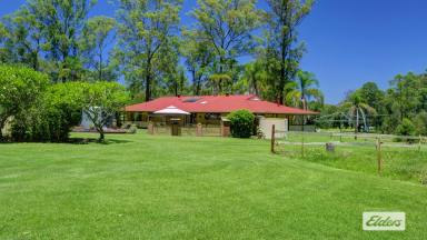 Farm For Sale - NSW - Kundle Kundle - 2430 - A RURAL LIFESTYLE SEVEN MINUTES FROM THE FREEWAY.  (Image 2)