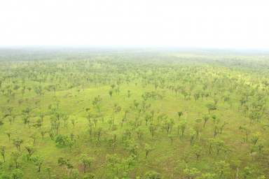 Farm Auction - QLD - Laura - 4871 - Far North Queensland Cattle Station  (Image 2)