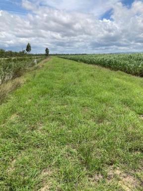 Farm For Sale - QLD - Upper Haughton - 4809 - For Sale – Cane Farm with 5 Year Lease Attached  (Image 2)