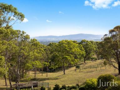 Farm For Sale - NSW - Lovedale - 2325 - Exquisite Country Estate in Hunter Valley Wine Country  (Image 2)