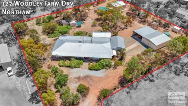 Farm For Sale - WA - Northam - 6401 - Charming Home on Expansive 5409m2 Lot!  (Image 2)