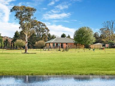 Farm Sold - NSW - Boxers Creek - 2580 - The ultimate rural escape for the equine enthusiast A haven of undeniable appeal in an idyllic country setting  (Image 2)